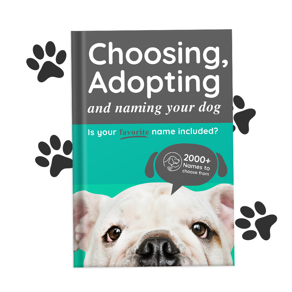 Choosing,AdoptingandNamingYourNewDogEbook
